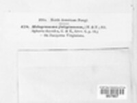 Image Associated With the Occurrence